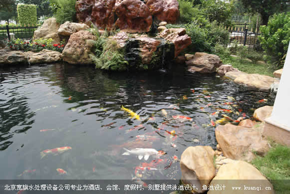 观赏锦鲤鱼池设计时需要注意什么呢?